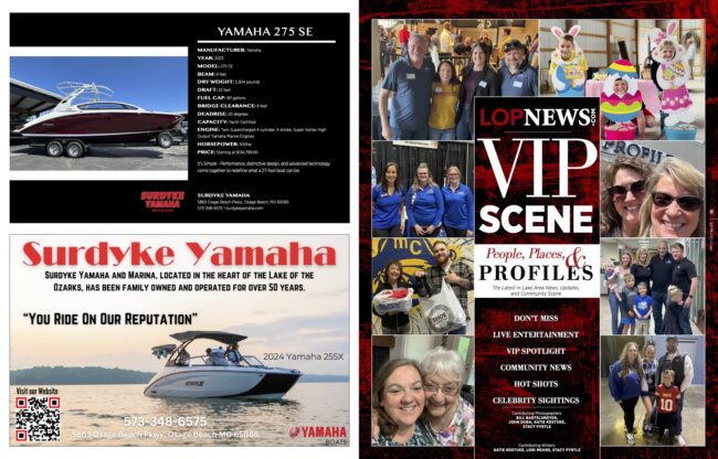 VIP Scene May:June 2024